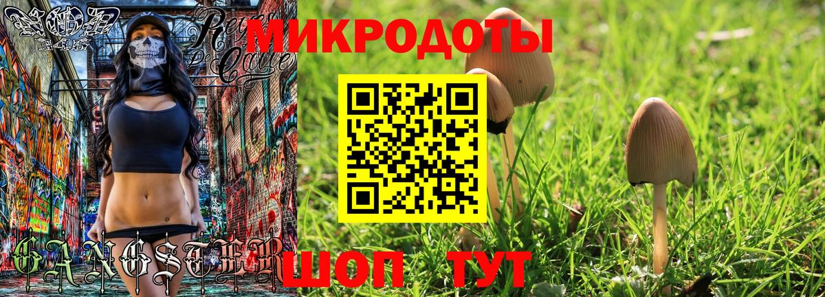 Галлюциногенные грибы Cubensis  что такое   Ачхой-Мартан 